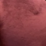 Mollymoon